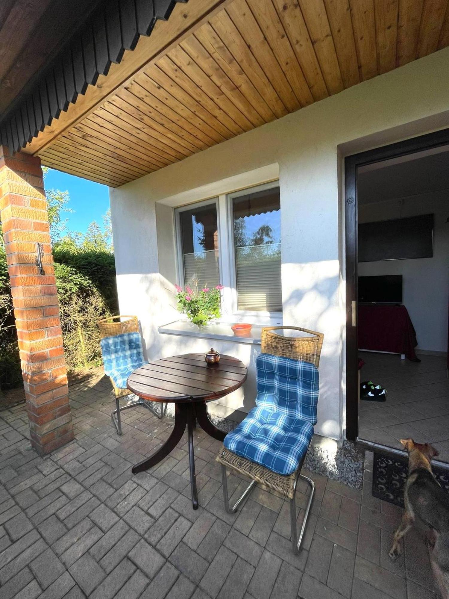 Tiny House - Auszeit im Wald am Badesee Tanna Exterior foto